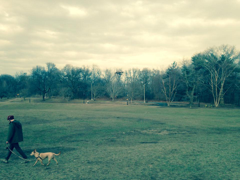transformingpark